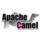 Apache Camel Training in the US