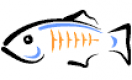GlassFish Training in the US