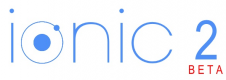 Ionic Training in the US