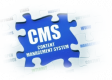 Category for Content Management System (CMS) Training in the US