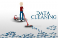 Data Cleaning Training in the US